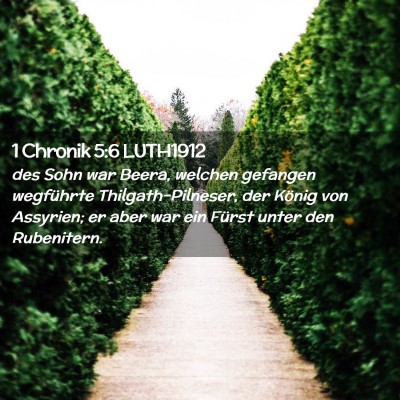 Picture 02 - 1 Chronik 5:6 LUTH1912 - des Sohn war Beera, welchen gefangen wegführte - Bible Verse Picture