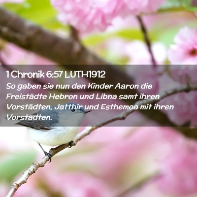 Picture 02 - 1 Chronik 6:57 LUTH1912 - So gaben sie nun den Kinder Aaron die Freistädte - Bible Verse Picture