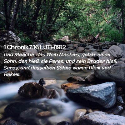 Picture 02 - 1 Chronik 7:16 LUTH1912 - Und Maacha, das Weib Machirs, gebar einen Sohn, - Bible Verse Picture