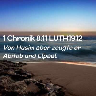 Picture 02 - 1 Chronik 8:11 LUTH1912 - Von Husim aber zeugte er Abitob und - Bible Verse Picture