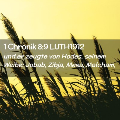 Picture 02 - 1 Chronik 8:9 LUTH1912 - und er zeugte von Hodes, seinem Weibe: Jobab, - Bible Verse Picture