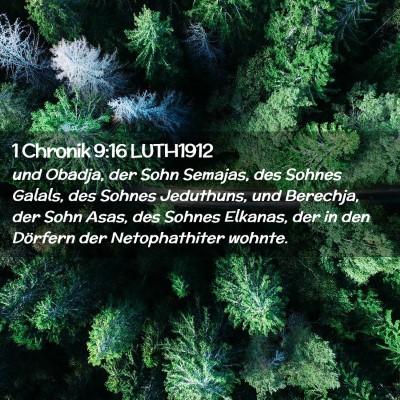 Picture 02 - 1 Chronik 9:16 LUTH1912 - und Obadja, der Sohn Semajas, des Sohnes Galals, - Bible Verse Picture