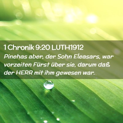 Picture 02 - 1 Chronik 9:20 LUTH1912 - Pinehas aber, der Sohn Eleasars, war vorzeiten - Bible Verse Picture