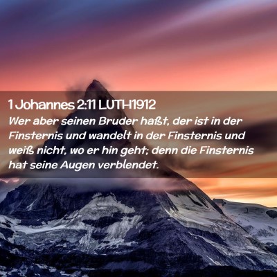Picture 02 - 1 Johannes 2:11 LUTH1912 - Wer aber seinen Bruder haßt, der ist in der - Bible Verse Picture