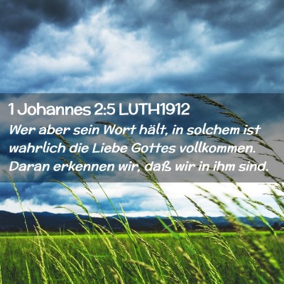 Picture 02 - 1 Johannes 2:5 LUTH1912 - Wer aber sein Wort hält, in solchem ist wahrlich - Bible Verse Picture