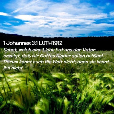 Picture 02 - 1 Johannes 3:1 LUTH1912 - Sehet, welch eine Liebe hat uns der Vater - Bible Verse Picture