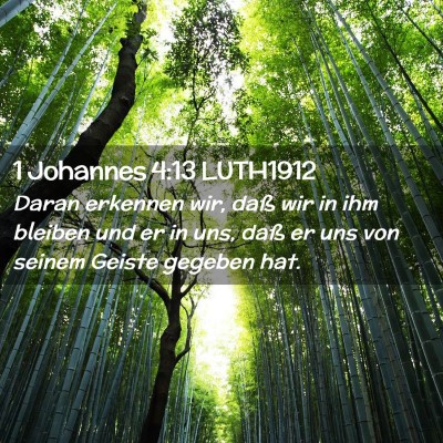 Picture 02 - 1 Johannes 4:13 LUTH1912 - Daran erkennen wir, daß wir in ihm bleiben und - Bible Verse Picture