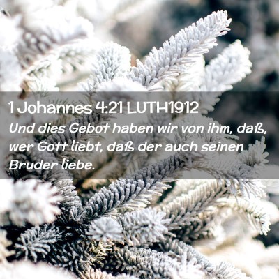 Picture 02 - 1 Johannes 4:21 LUTH1912 - Und dies Gebot haben wir von ihm, daß, wer Gott - Bible Verse Picture