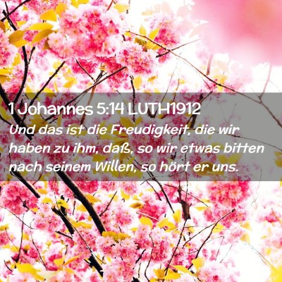 Picture 02 - 1 Johannes 5:14 LUTH1912 - Und das ist die Freudigkeit, die wir haben zu - Bible Verse Picture