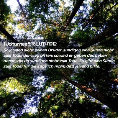 Picture 02 - 1 Johannes 5:16 LUTH1912 - So jemand sieht seinen Bruder sündigen eine - Bible Verse Picture