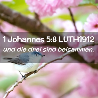 Picture 02 - 1 Johannes 5:8 LUTH1912 - und die drei sind - Bible Verse Picture