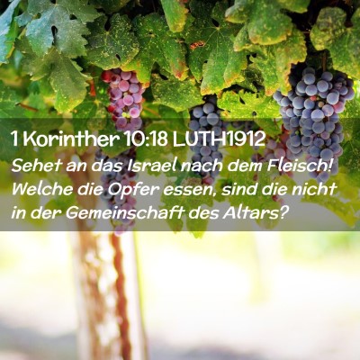 Picture 02 - 1 Korinther 10:18 LUTH1912 - Sehet an das Israel nach dem Fleisch! Welche die - Bible Verse Picture