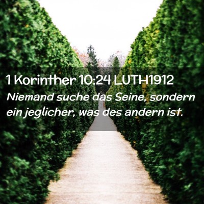 Picture 02 - 1 Korinther 10:24 LUTH1912 - Niemand suche das Seine, sondern ein jeglicher, - Bible Verse Picture