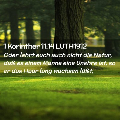 Picture 02 - 1 Korinther 11:14 LUTH1912 - Oder lehrt euch auch nicht die Natur, daß es - Bible Verse Picture
