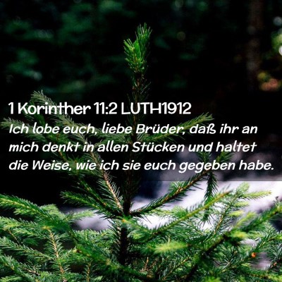 Picture 02 - 1 Korinther 11:2 LUTH1912 - Ich lobe euch, liebe Brüder, daß ihr an mich - Bible Verse Picture