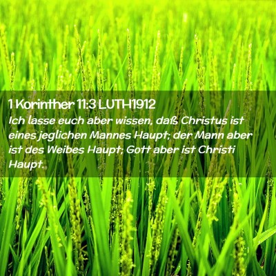 Picture 02 - 1 Korinther 11:3 LUTH1912 - Ich lasse euch aber wissen, daß Christus ist - Bible Verse Picture