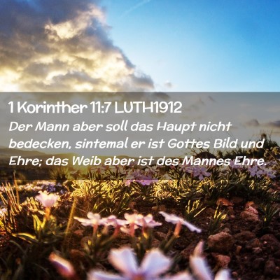 Picture 02 - 1 Korinther 11:7 LUTH1912 - Der Mann aber soll das Haupt nicht bedecken, - Bible Verse Picture