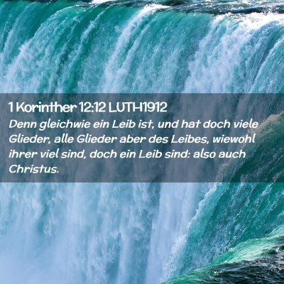 Picture 02 - 1 Korinther 12:12 LUTH1912 - Denn gleichwie ein Leib ist, und hat doch viele - Bible Verse Picture