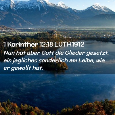 Picture 02 - 1 Korinther 12:18 LUTH1912 - Nun hat aber Gott die Glieder gesetzt, ein - Bible Verse Picture