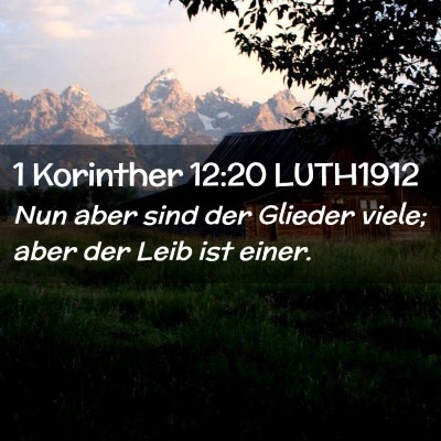 Picture 02 - 1 Korinther 12:20 LUTH1912 - Nun aber sind der Glieder viele; aber der Leib - Bible Verse Picture