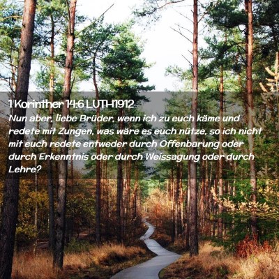 Picture 02 - 1 Korinther 14:6 LUTH1912 - Nun aber, liebe Brüder, wenn ich zu euch käme - Bible Verse Picture