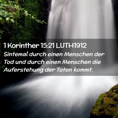 Picture 02 - 1 Korinther 15:21 LUTH1912 - Sintemal durch einen Menschen der Tod und durch - Bible Verse Picture