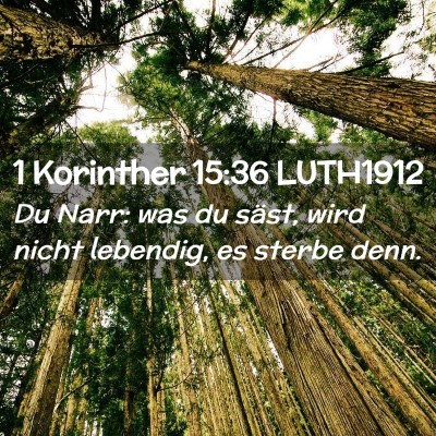 Picture 02 - 1 Korinther 15:36 LUTH1912 - Du Narr: was du säst, wird nicht lebendig, es - Bible Verse Picture