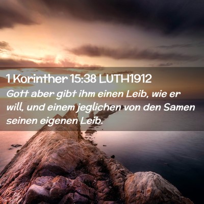 Picture 02 - 1 Korinther 15:38 LUTH1912 - Gott aber gibt ihm einen Leib, wie er will, und - Bible Verse Picture
