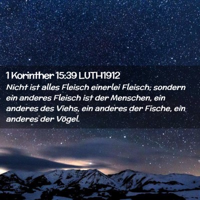 Picture 02 - 1 Korinther 15:39 LUTH1912 - Nicht ist alles Fleisch einerlei Fleisch; sondern - Bible Verse Picture