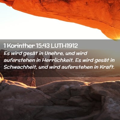 Picture 02 - 1 Korinther 15:43 LUTH1912 - Es wird gesät in Unehre, und wird auferstehen in - Bible Verse Picture