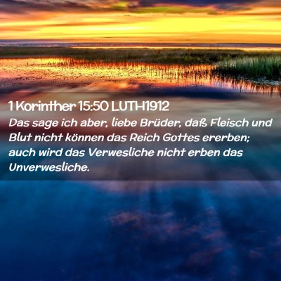 Picture 02 - 1 Korinther 15:50 LUTH1912 - Das sage ich aber, liebe Brüder, daß Fleisch - Bible Verse Picture