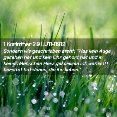 Picture 02 - 1 Korinther 2:9 LUTH1912 - Sondern wie geschrieben steht: “Was kein Auge - Bible Verse Picture