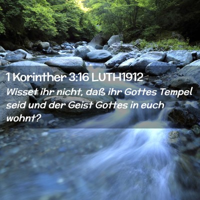 Picture 02 - 1 Korinther 3:16 LUTH1912 - Wisset ihr nicht, daß ihr Gottes Tempel seid und - Bible Verse Picture