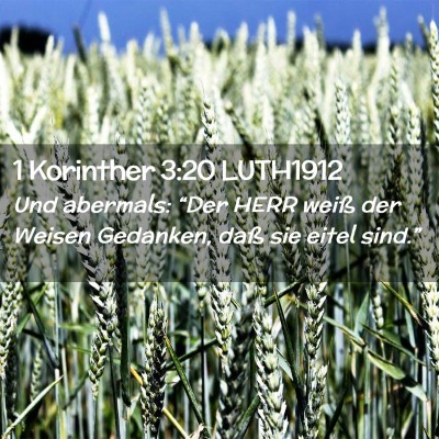 Picture 02 - 1 Korinther 3:20 LUTH1912 - Und abermals: “Der HERR weiß der Weisen - Bible Verse Picture