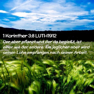 Picture 02 - 1 Korinther 3:8 LUTH1912 - Der aber pflanzt und der da begießt, ist einer - Bible Verse Picture