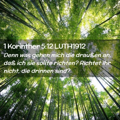 Picture 02 - 1 Korinther 5:12 LUTH1912 - Denn was gehen mich die draußen an, daß ich sie - Bible Verse Picture