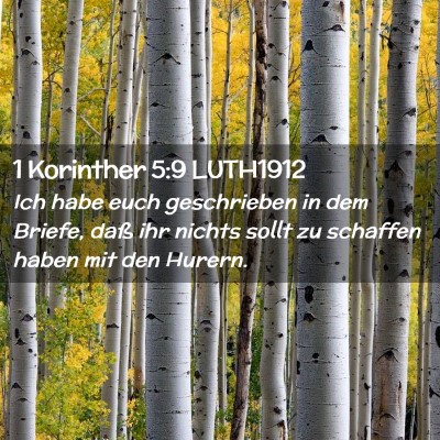 Picture 02 - 1 Korinther 5:9 LUTH1912 - Ich habe euch geschrieben in dem Briefe, daß ihr - Bible Verse Picture