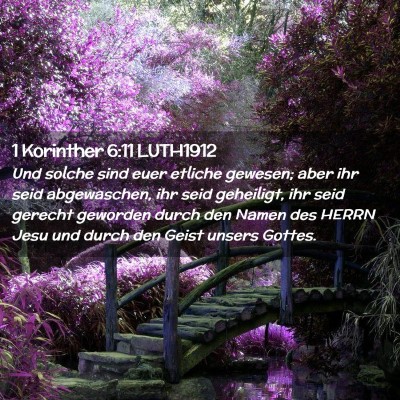 Picture 02 - 1 Korinther 6:11 LUTH1912 - Und solche sind euer etliche gewesen; aber ihr - Bible Verse Picture