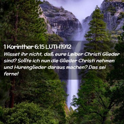 Picture 02 - 1 Korinther 6:15 LUTH1912 - Wisset ihr nicht, daß eure Leiber Christi - Bible Verse Picture