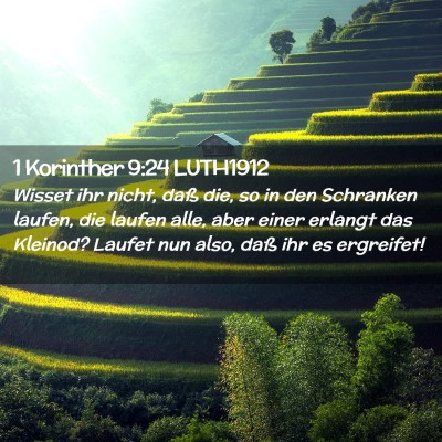 Picture 02 - 1 Korinther 9:24 LUTH1912 - Wisset ihr nicht, daß die, so in den Schranken - Bible Verse Picture