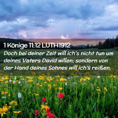 Picture 02 - 1 Könige 11:12 LUTH1912 - Doch bei deiner Zeit will ich's nicht tun um - Bible Verse Picture
