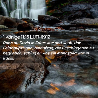 Picture 02 - 1 Könige 11:15 LUTH1912 - Denn da David in Edom war und Joab, der - Bible Verse Picture