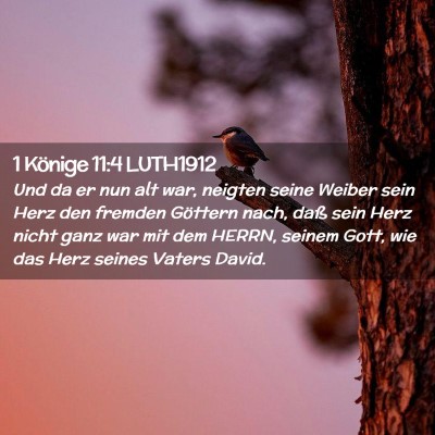 Picture 02 - 1 Könige 11:4 LUTH1912 - Und da er nun alt war, neigten seine Weiber sein - Bible Verse Picture