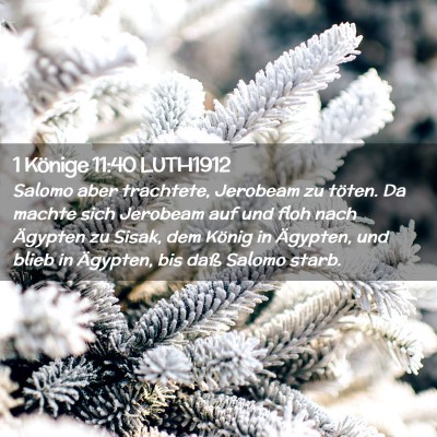 Picture 02 - 1 Könige 11:40 LUTH1912 - Salomo aber trachtete, Jerobeam zu töten. Da - Bible Verse Picture