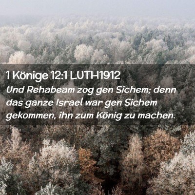 Picture 02 - 1 Könige 12:1 LUTH1912 - Und Rehabeam zog gen Sichem; denn das ganze - Bible Verse Picture