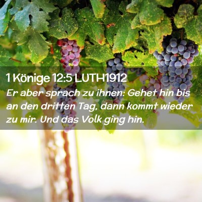 Picture 02 - 1 Könige 12:5 LUTH1912 - Er aber sprach zu ihnen: Gehet hin bis an den - Bible Verse Picture