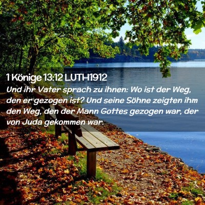 Picture 02 - 1 Könige 13:12 LUTH1912 - Und ihr Vater sprach zu ihnen: Wo ist der Weg, - Bible Verse Picture