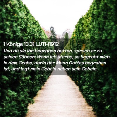 Picture 02 - 1 Könige 13:31 LUTH1912 - Und da sie ihn begraben hatten, sprach er zu - Bible Verse Picture