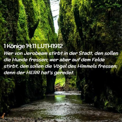 Picture 02 - 1 Könige 14:11 LUTH1912 - Wer von Jerobeam stirbt in der Stadt, den sollen - Bible Verse Picture