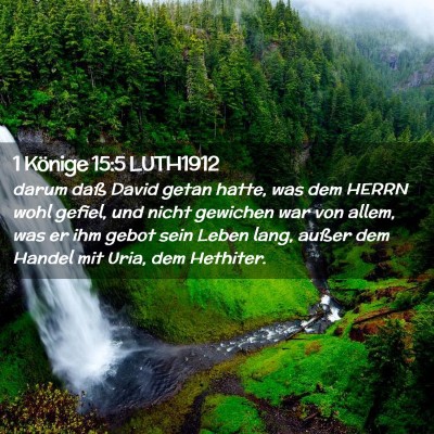 Picture 02 - 1 Könige 15:5 LUTH1912 - darum daß David getan hatte, was dem HERRN wohl - Bible Verse Picture